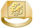 Draupnir Software